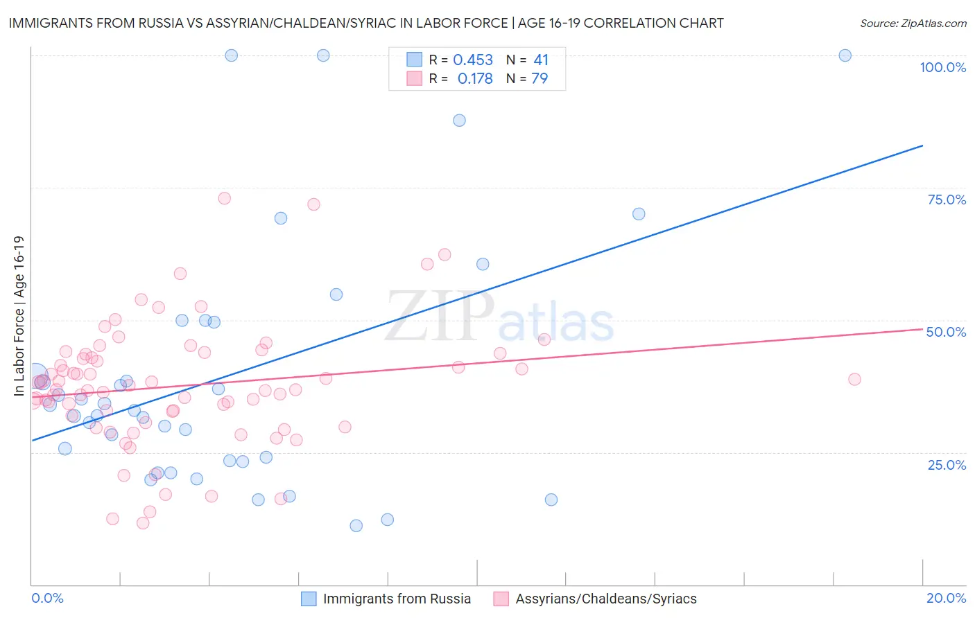 Immigrants from Russia vs Assyrian/Chaldean/Syriac In Labor Force | Age 16-19