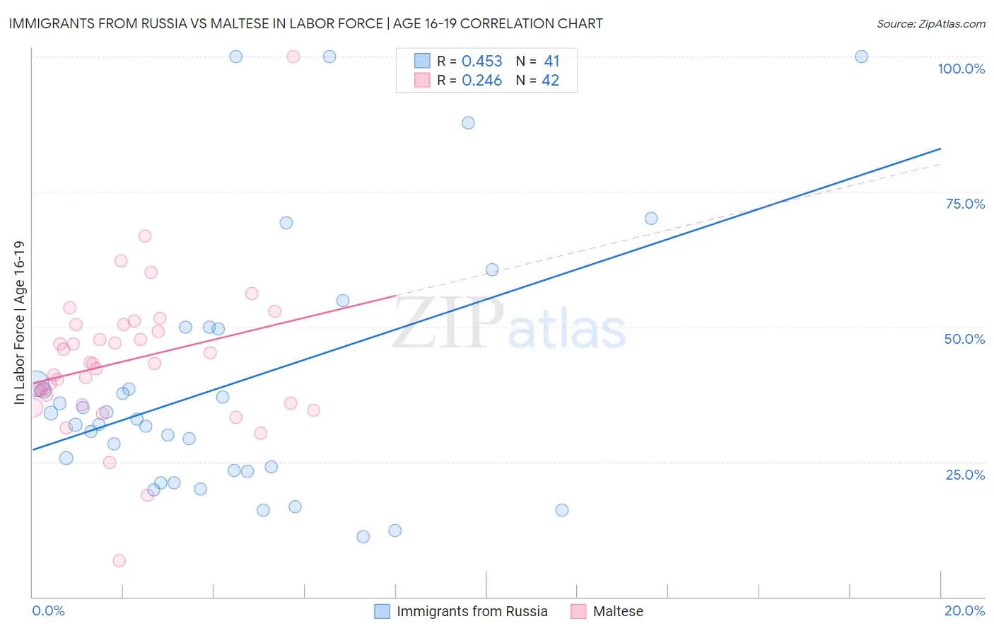 Immigrants from Russia vs Maltese In Labor Force | Age 16-19