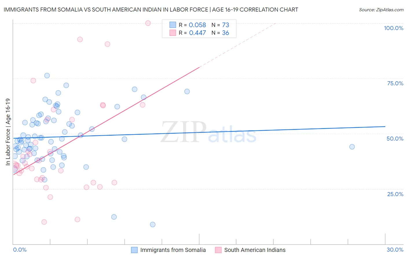 Immigrants from Somalia vs South American Indian In Labor Force | Age 16-19