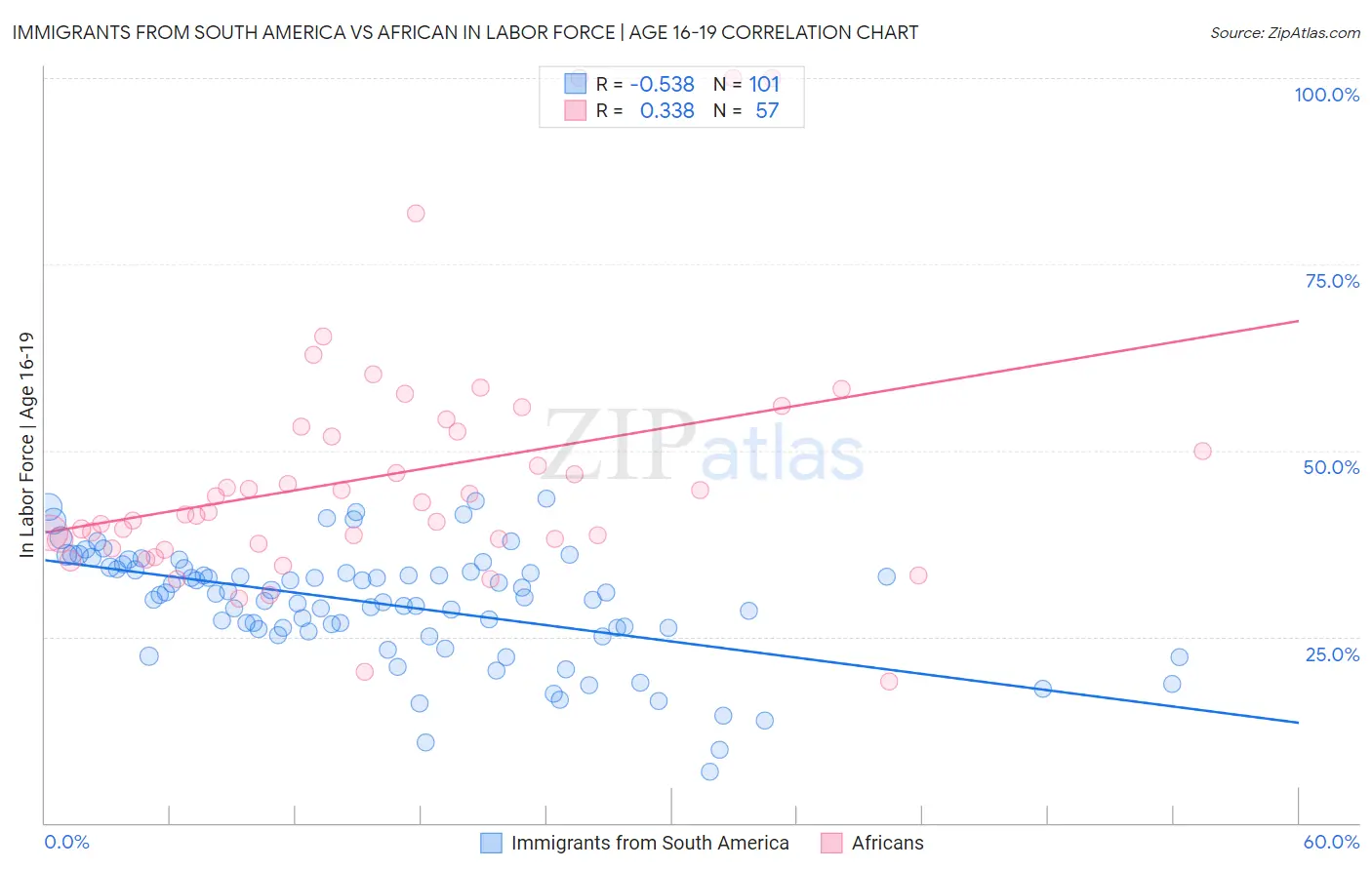 Immigrants from South America vs African In Labor Force | Age 16-19