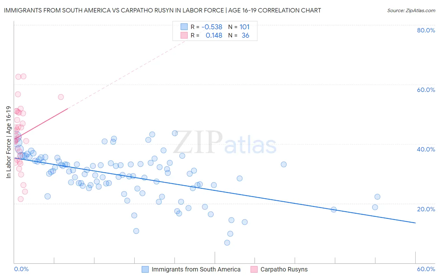 Immigrants from South America vs Carpatho Rusyn In Labor Force | Age 16-19