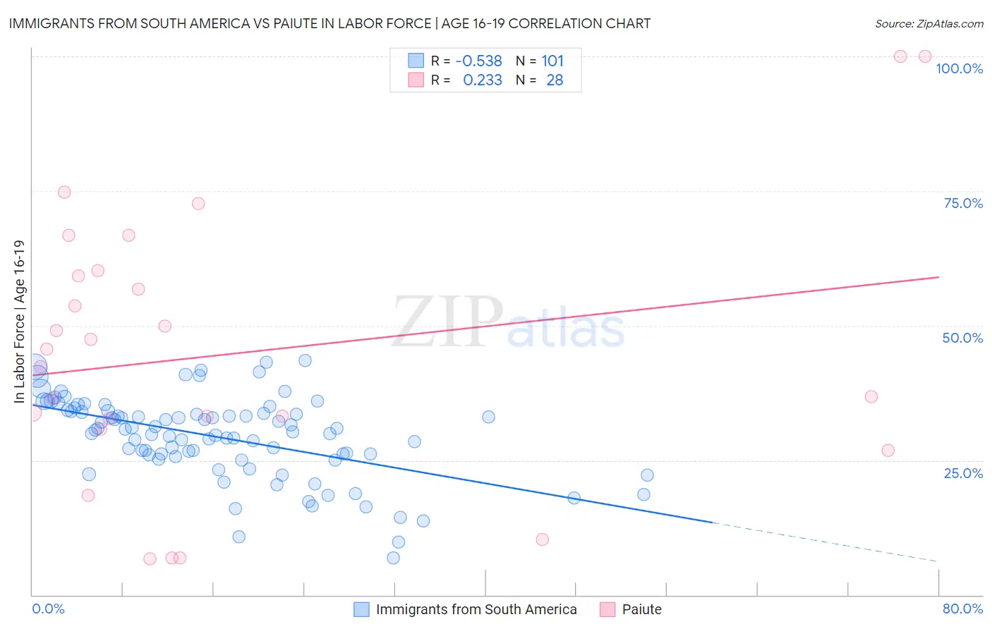 Immigrants from South America vs Paiute In Labor Force | Age 16-19