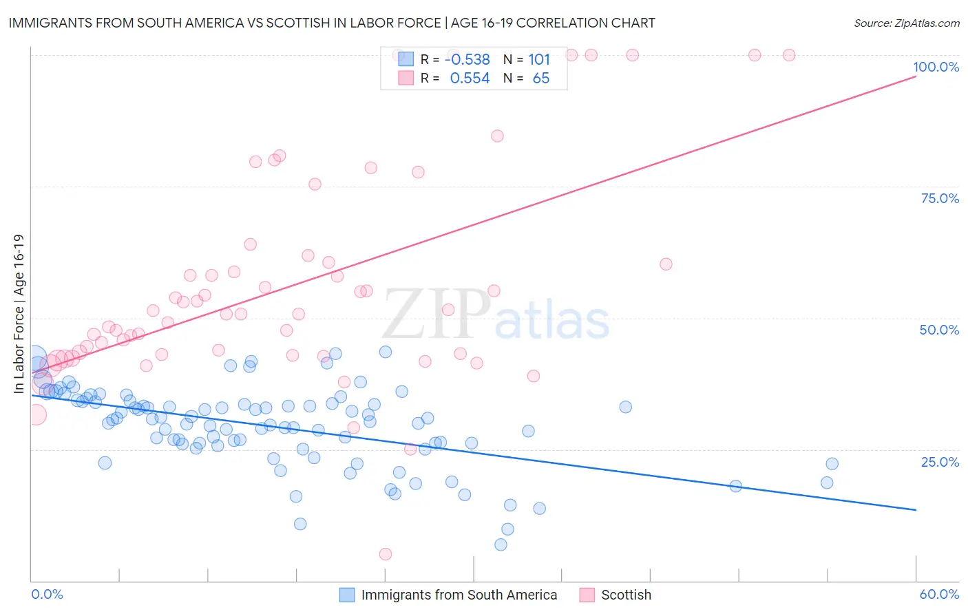 Immigrants from South America vs Scottish In Labor Force | Age 16-19