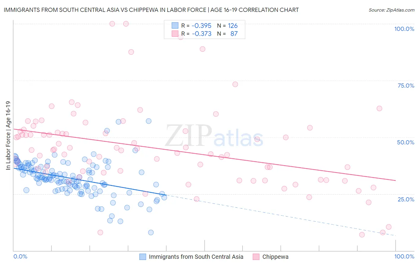 Immigrants from South Central Asia vs Chippewa In Labor Force | Age 16-19