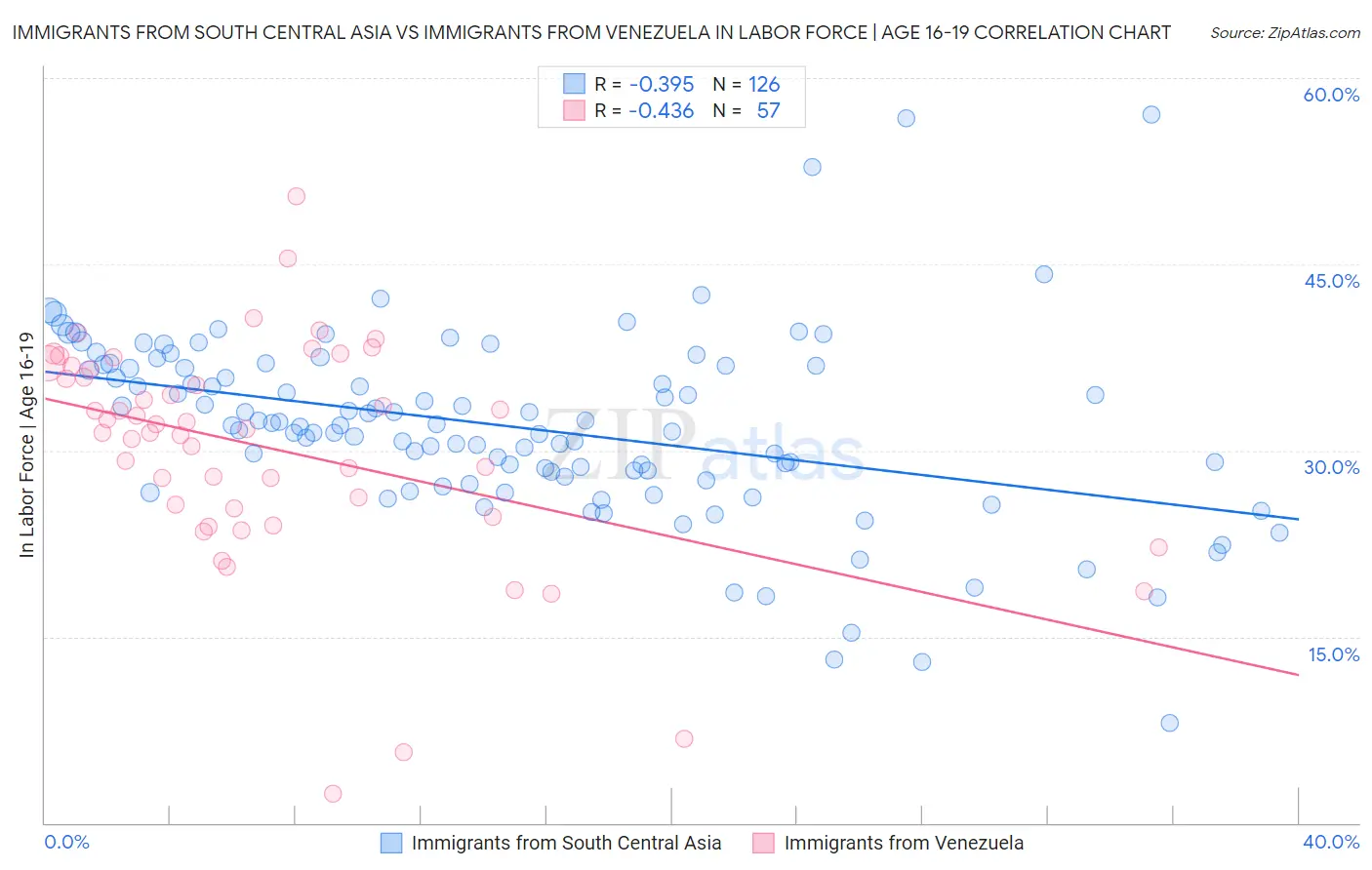 Immigrants from South Central Asia vs Immigrants from Venezuela In Labor Force | Age 16-19