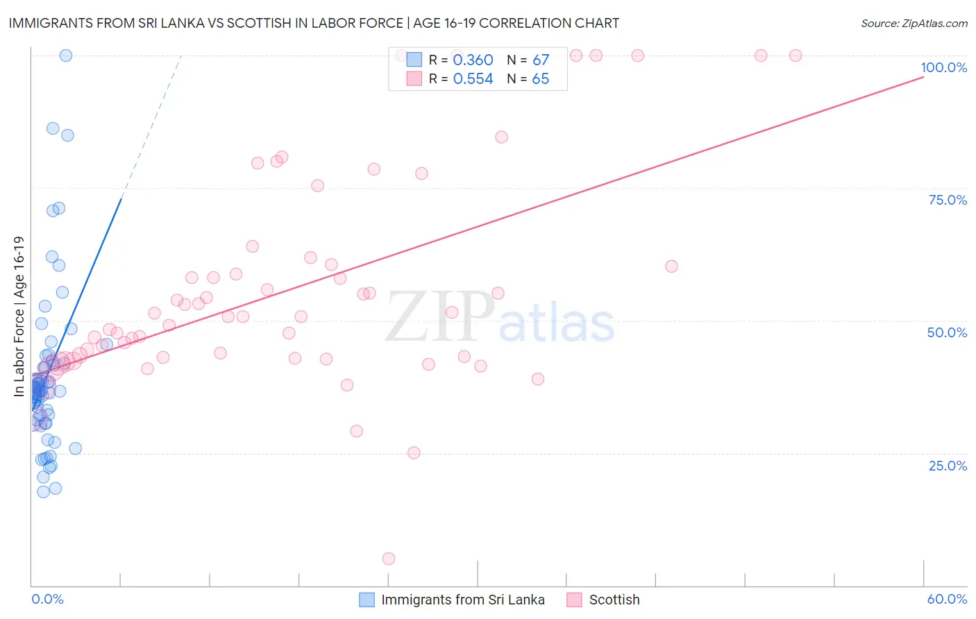 Immigrants from Sri Lanka vs Scottish In Labor Force | Age 16-19