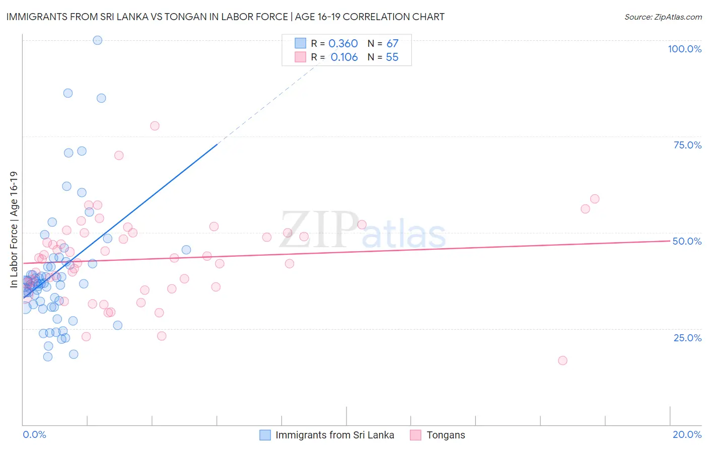 Immigrants from Sri Lanka vs Tongan In Labor Force | Age 16-19