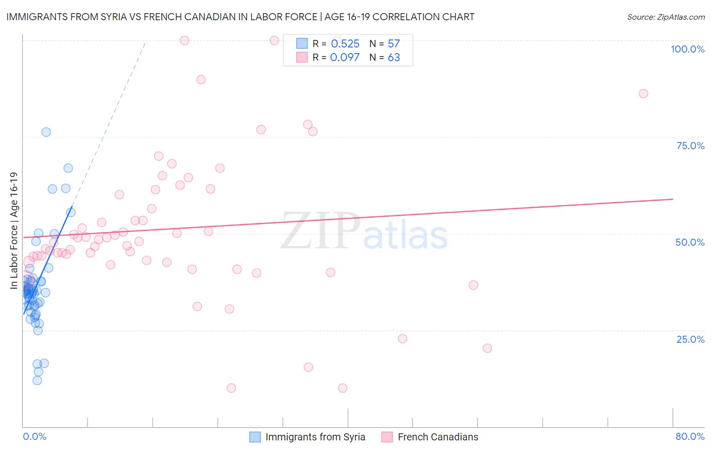 Immigrants from Syria vs French Canadian In Labor Force | Age 16-19