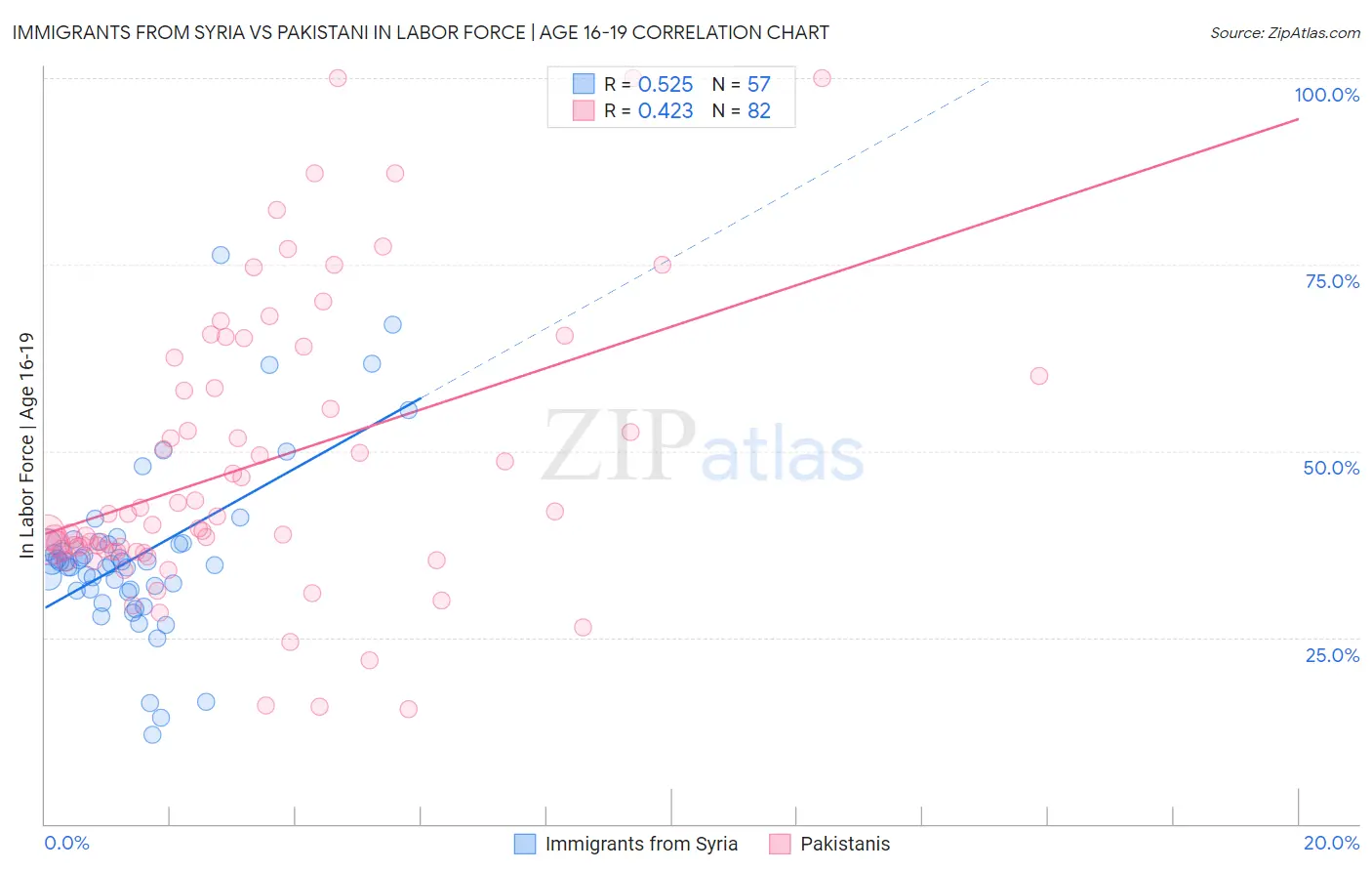 Immigrants from Syria vs Pakistani In Labor Force | Age 16-19