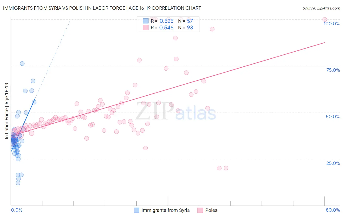 Immigrants from Syria vs Polish In Labor Force | Age 16-19