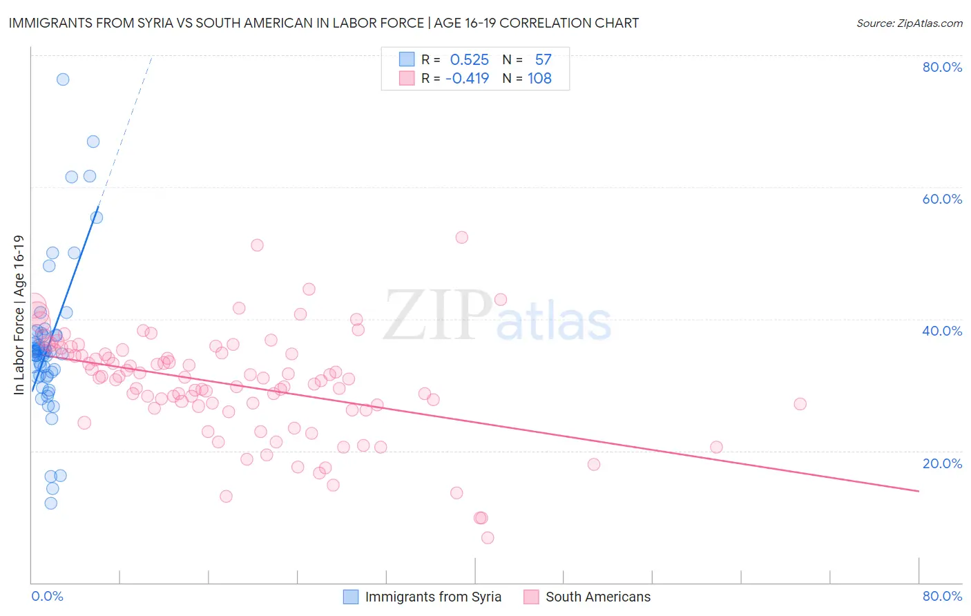 Immigrants from Syria vs South American In Labor Force | Age 16-19