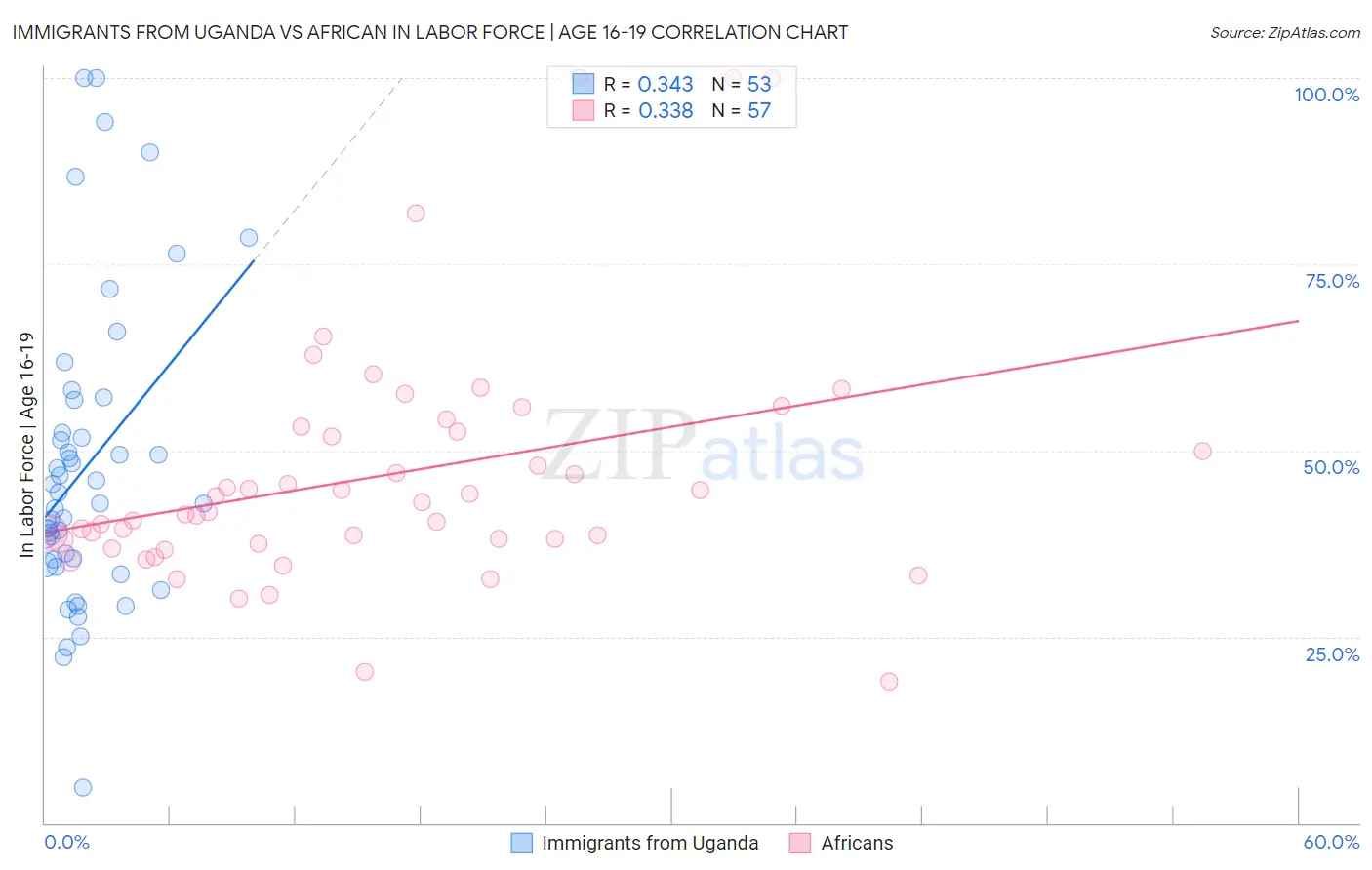 Immigrants from Uganda vs African In Labor Force | Age 16-19