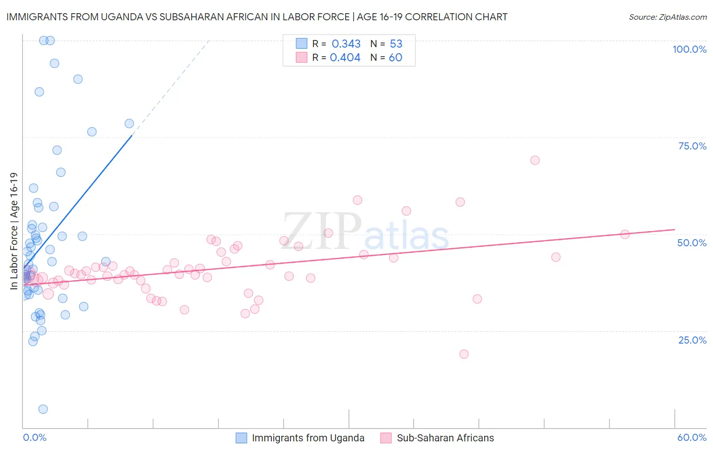 Immigrants from Uganda vs Subsaharan African In Labor Force | Age 16-19