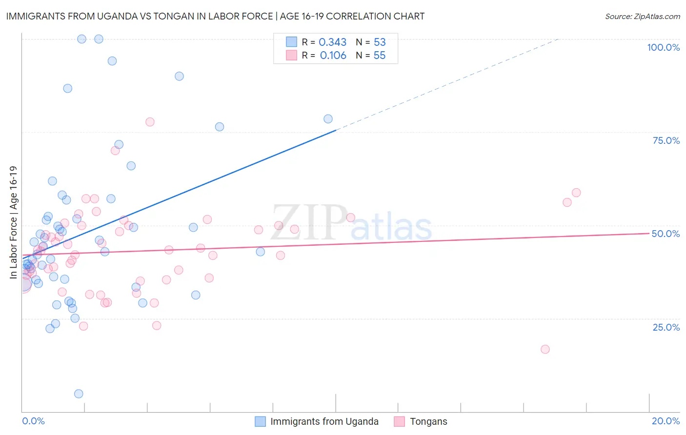 Immigrants from Uganda vs Tongan In Labor Force | Age 16-19