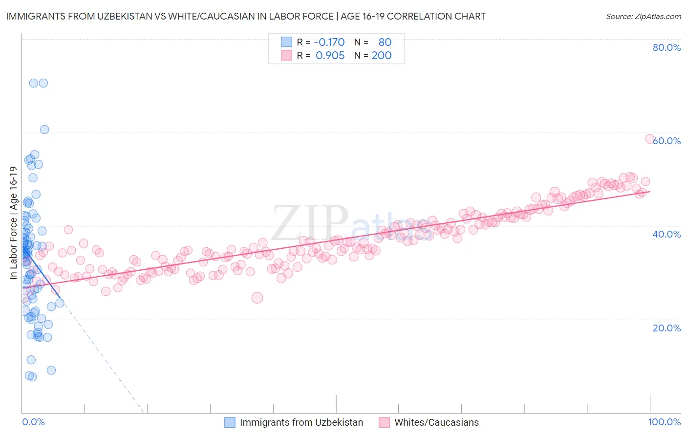 Immigrants from Uzbekistan vs White/Caucasian In Labor Force | Age 16-19