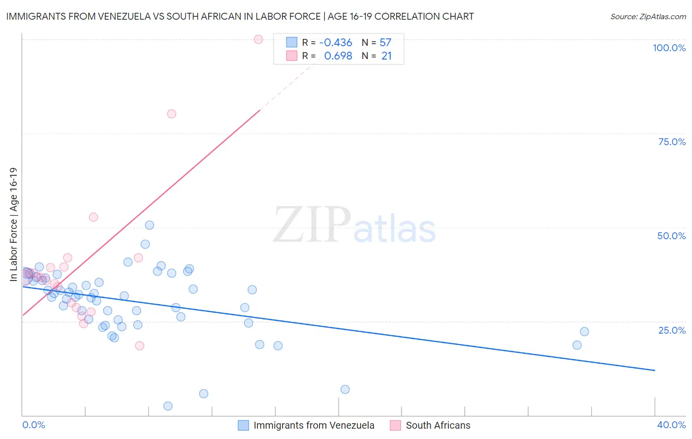 Immigrants from Venezuela vs South African In Labor Force | Age 16-19