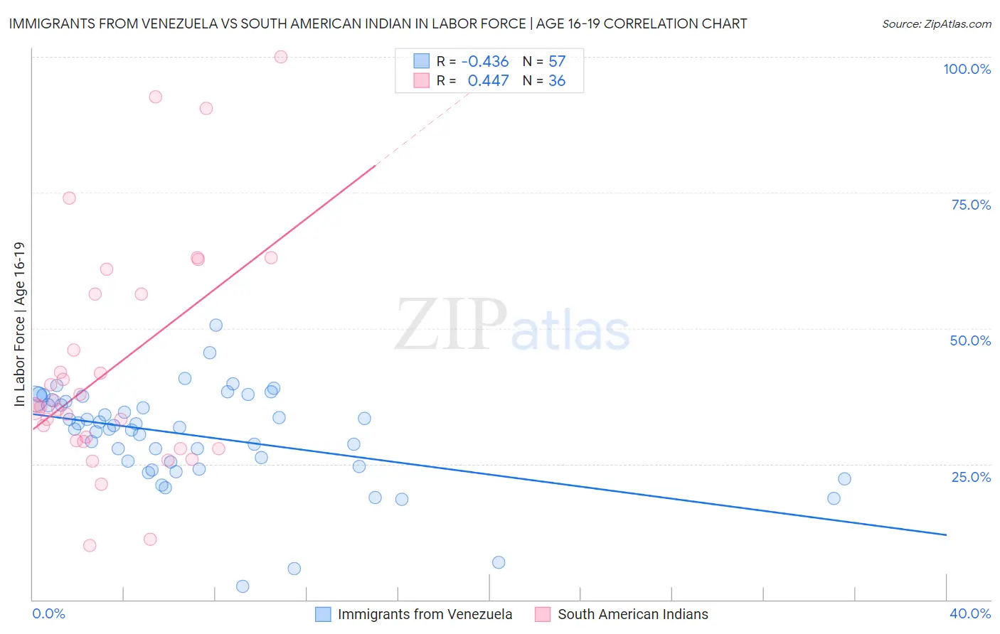 Immigrants from Venezuela vs South American Indian In Labor Force | Age 16-19