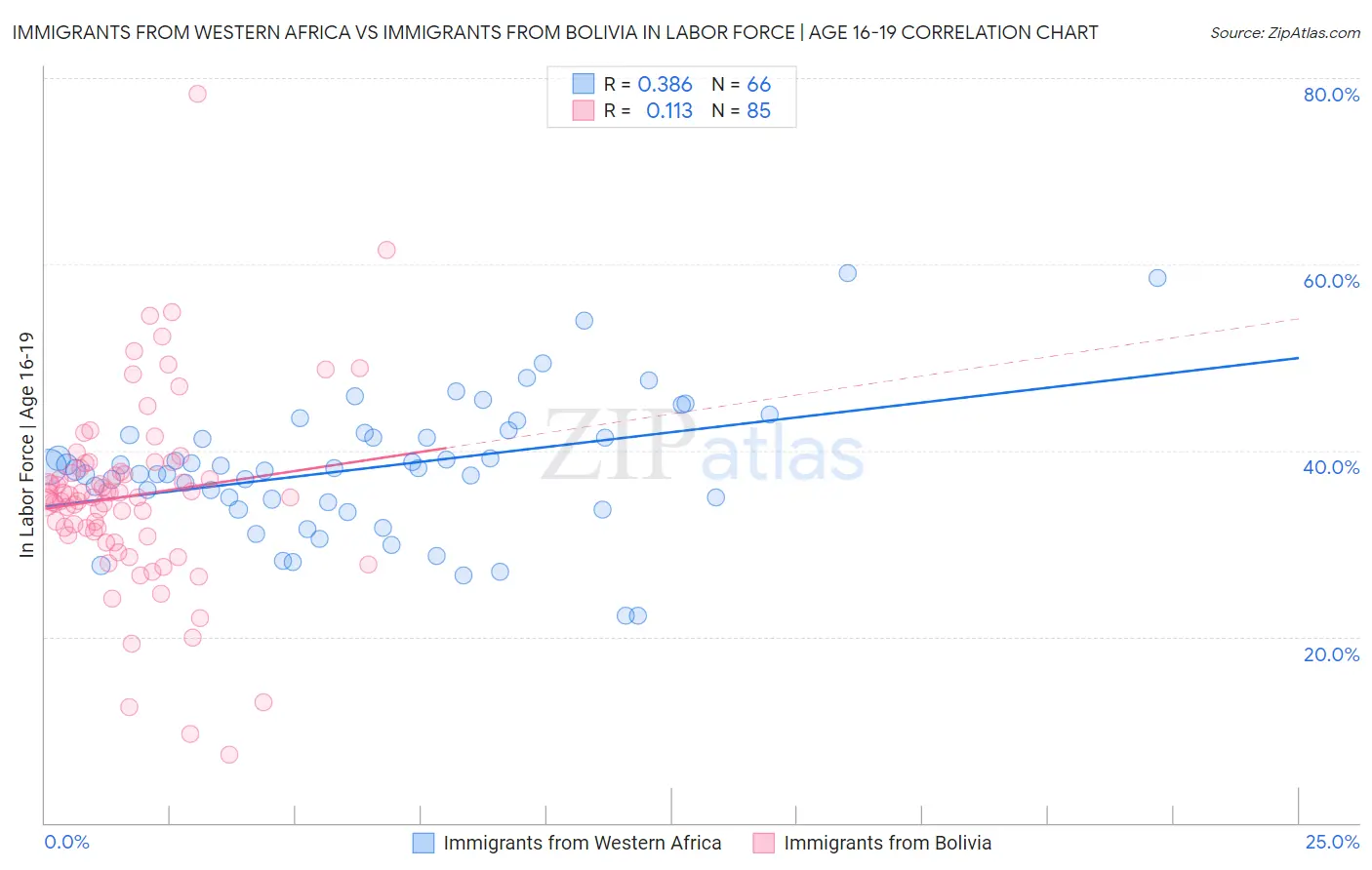 Immigrants from Western Africa vs Immigrants from Bolivia In Labor Force | Age 16-19