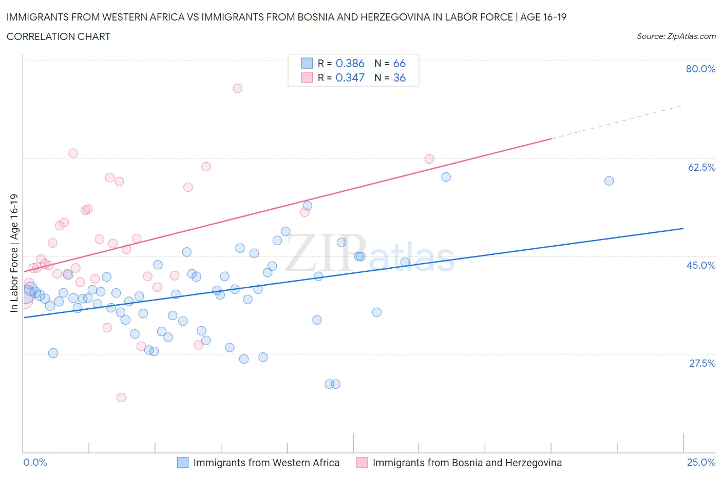 Immigrants from Western Africa vs Immigrants from Bosnia and Herzegovina In Labor Force | Age 16-19