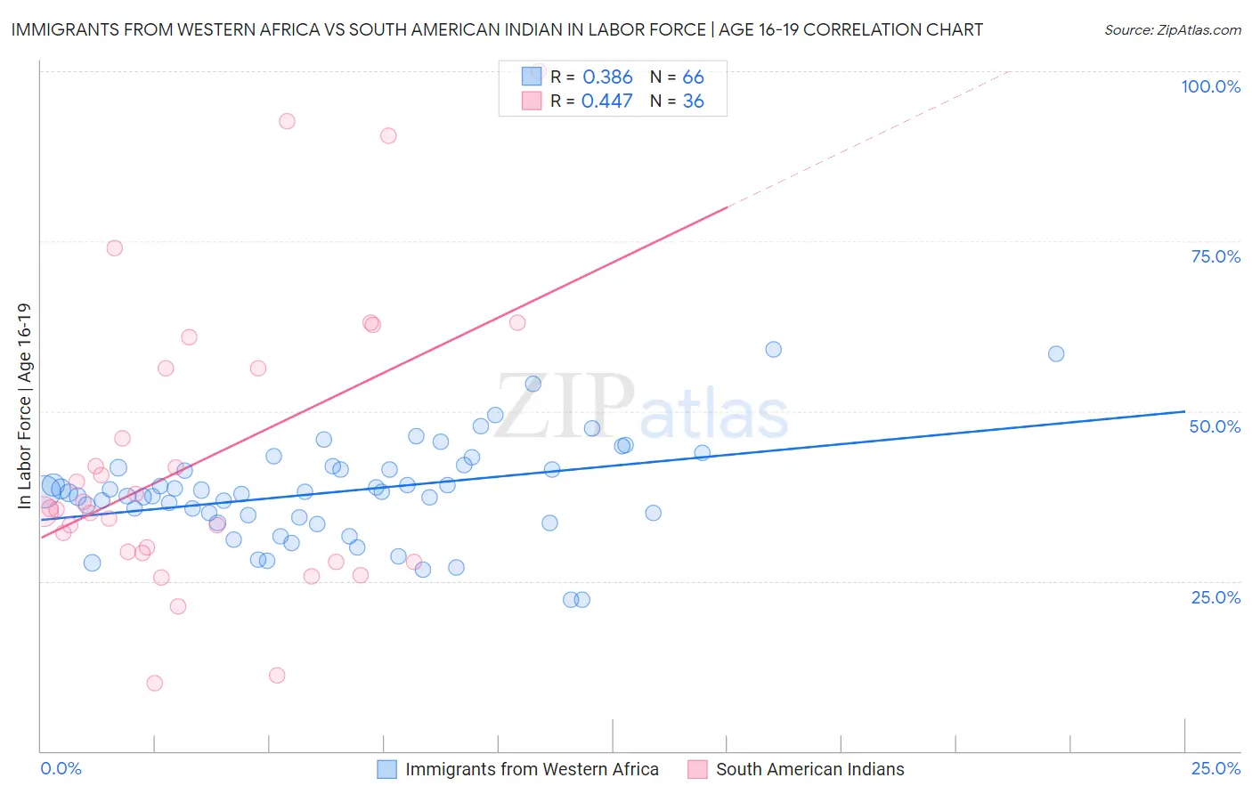 Immigrants from Western Africa vs South American Indian In Labor Force | Age 16-19