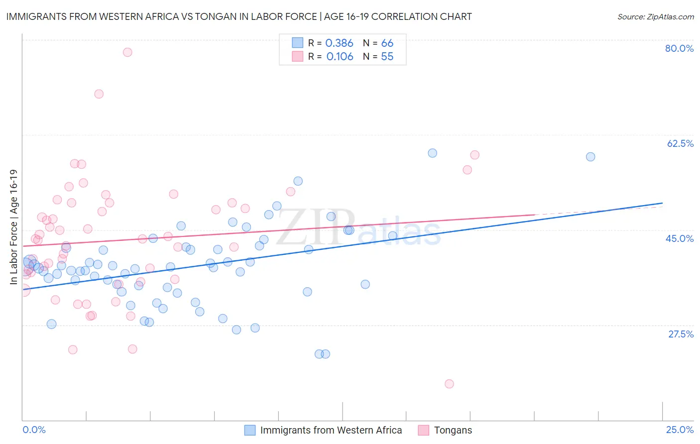 Immigrants from Western Africa vs Tongan In Labor Force | Age 16-19