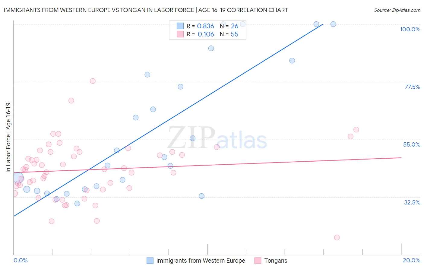 Immigrants from Western Europe vs Tongan In Labor Force | Age 16-19
