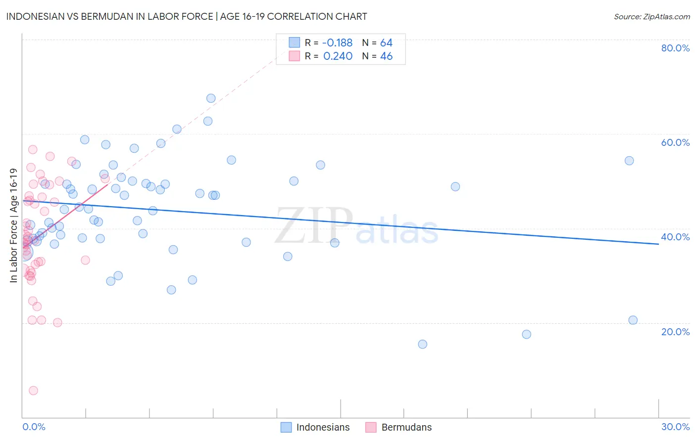 Indonesian vs Bermudan In Labor Force | Age 16-19