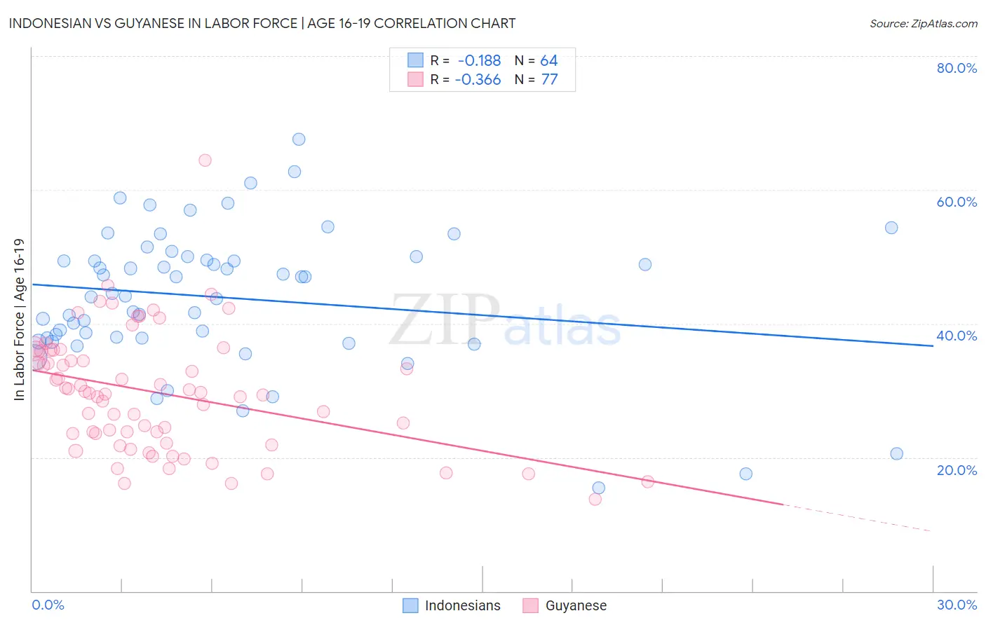 Indonesian vs Guyanese In Labor Force | Age 16-19