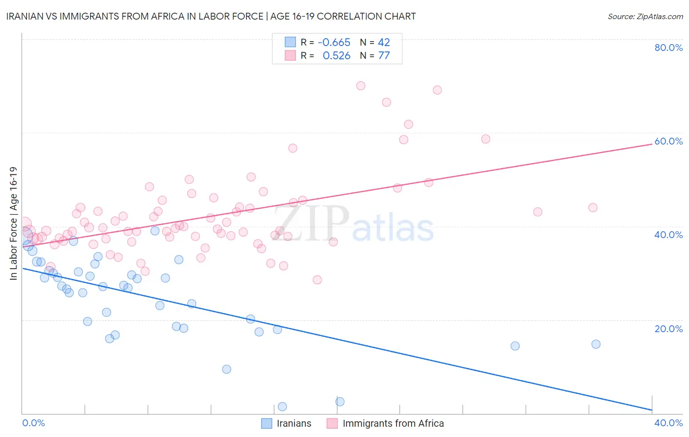 Iranian vs Immigrants from Africa In Labor Force | Age 16-19