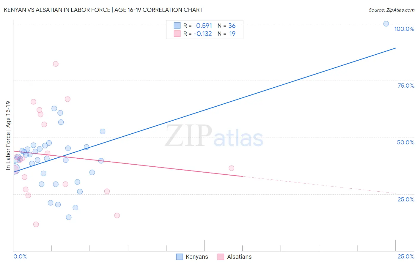 Kenyan vs Alsatian In Labor Force | Age 16-19