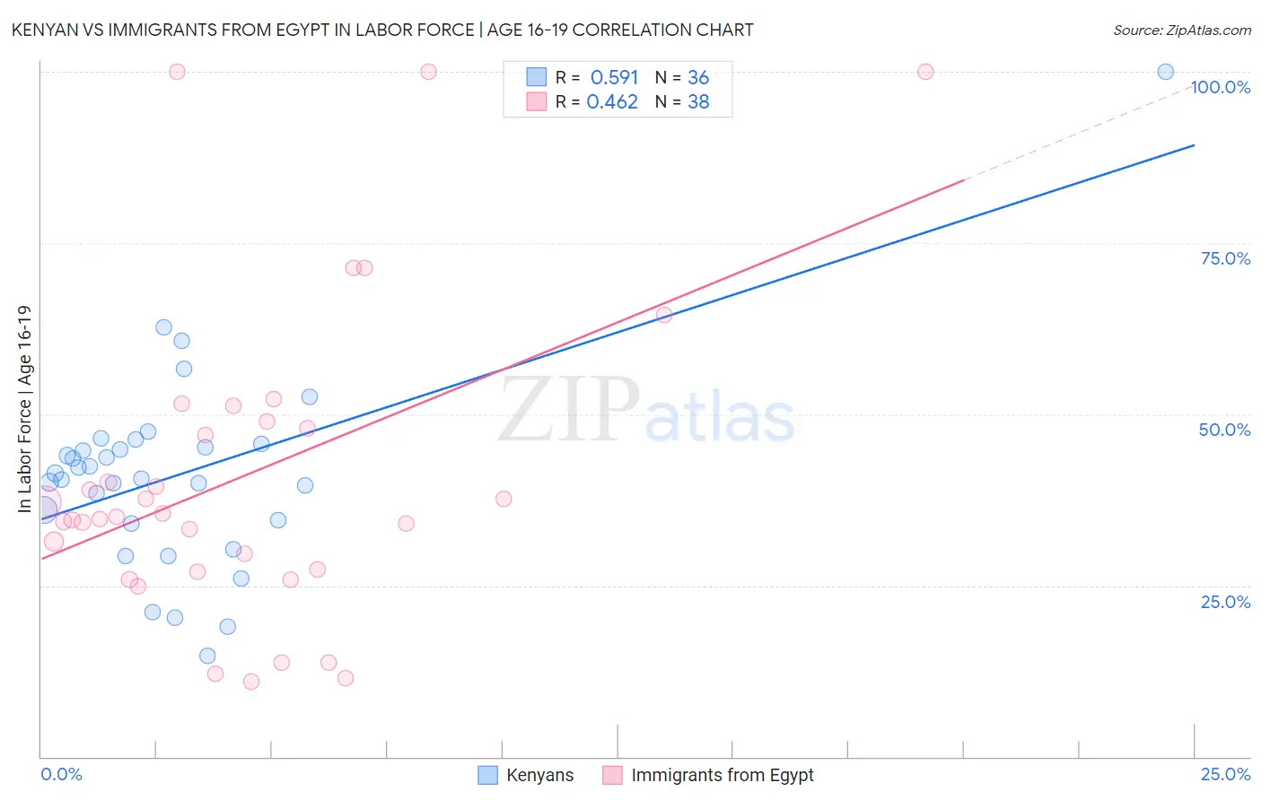 Kenyan vs Immigrants from Egypt In Labor Force | Age 16-19