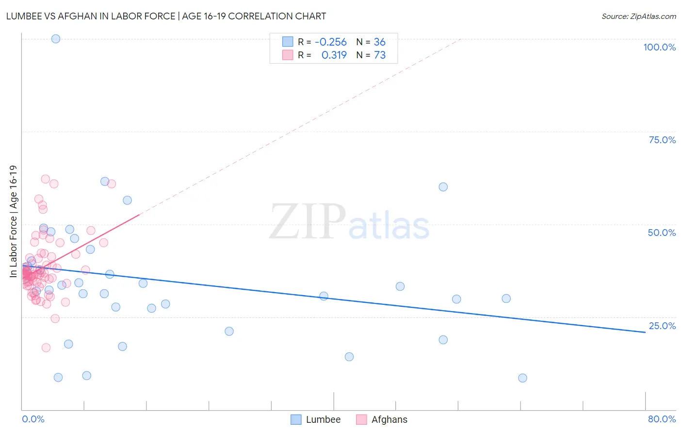 Lumbee vs Afghan In Labor Force | Age 16-19