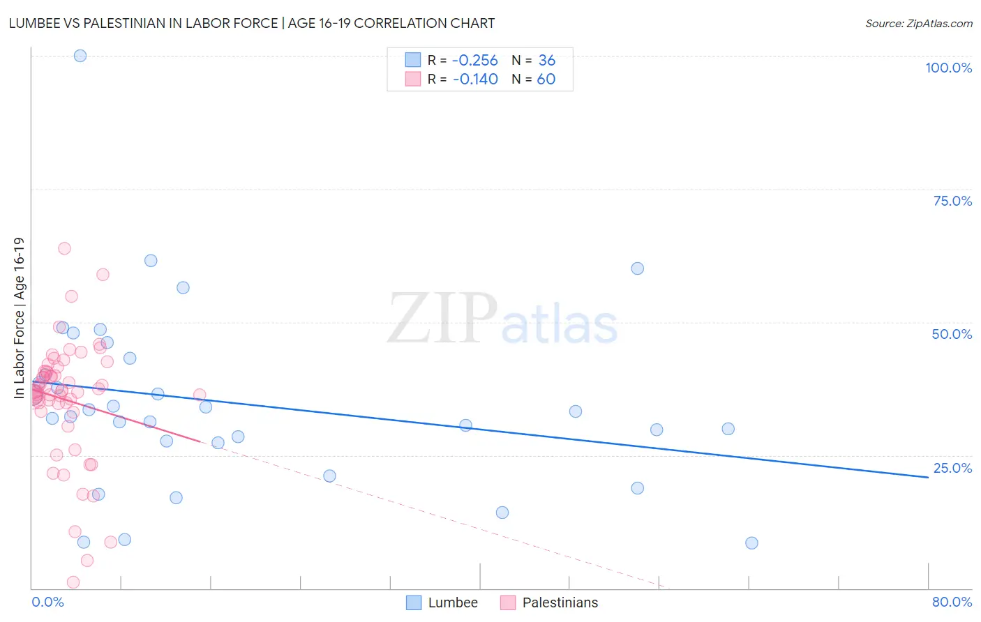 Lumbee vs Palestinian In Labor Force | Age 16-19