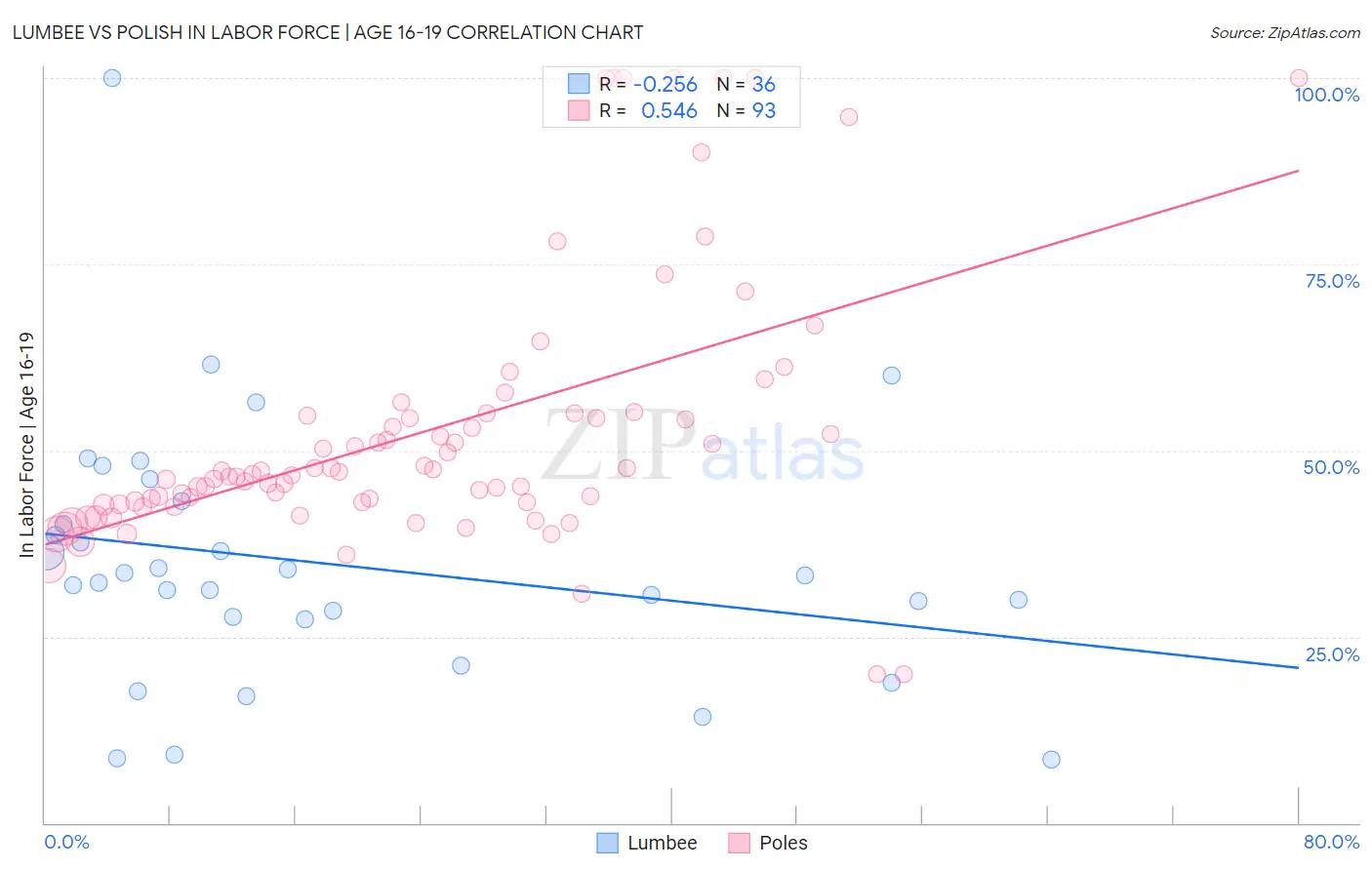 Lumbee vs Polish In Labor Force | Age 16-19