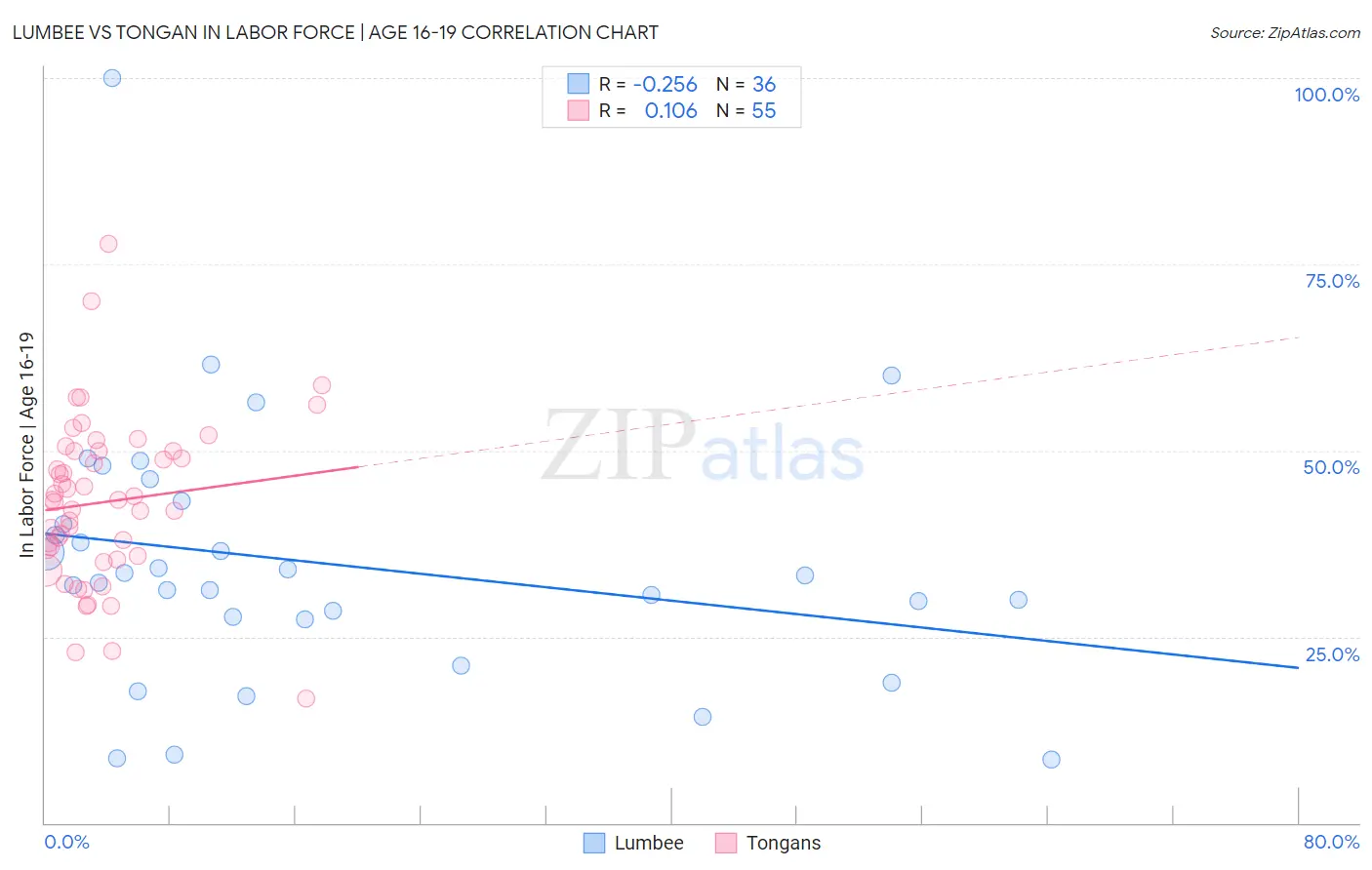 Lumbee vs Tongan In Labor Force | Age 16-19