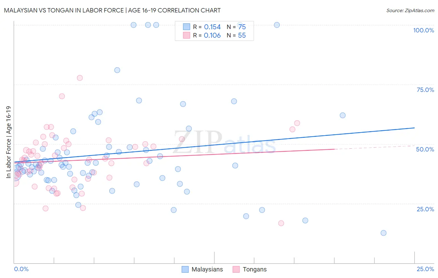 Malaysian vs Tongan In Labor Force | Age 16-19