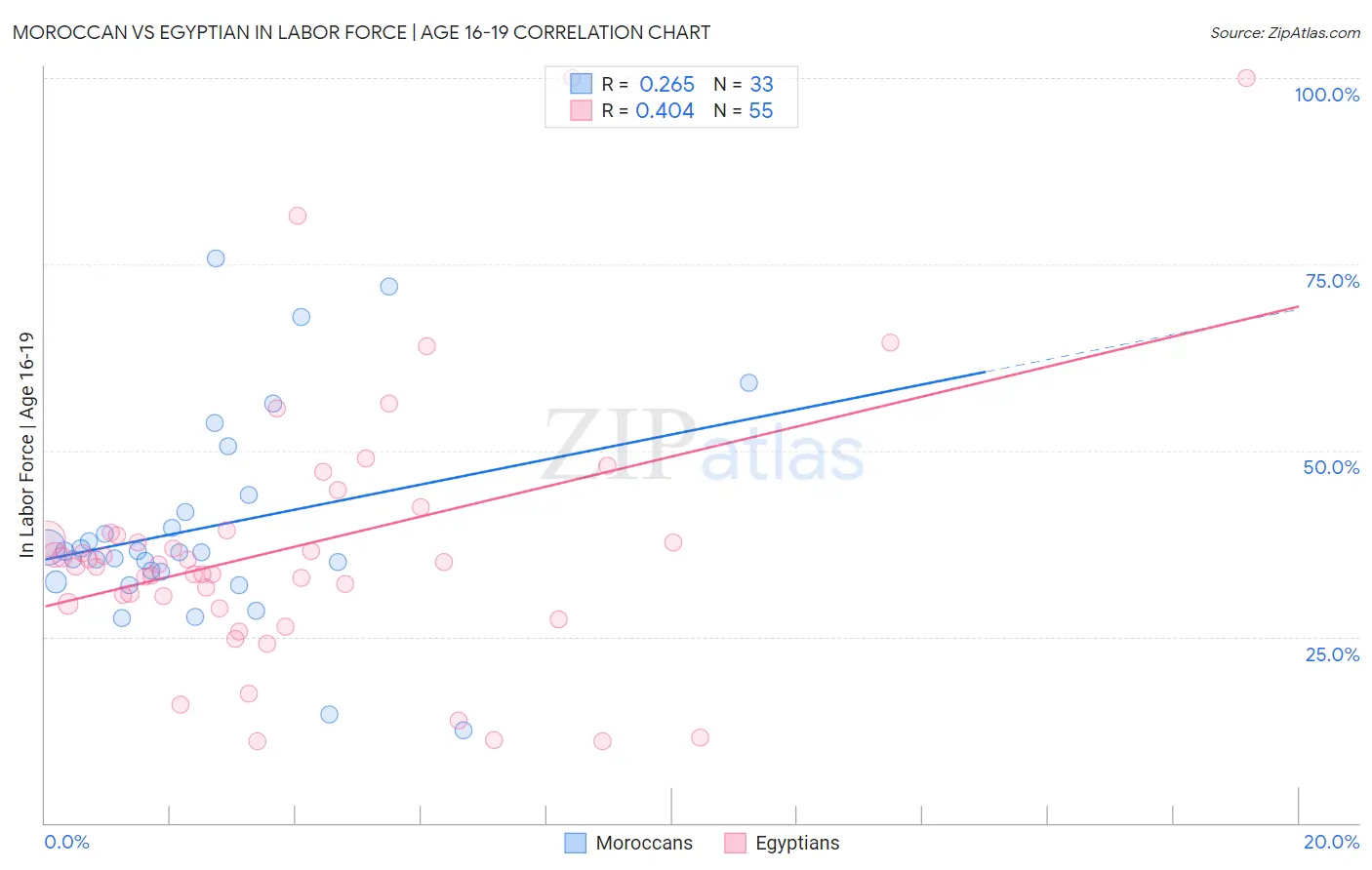 Moroccan vs Egyptian In Labor Force | Age 16-19