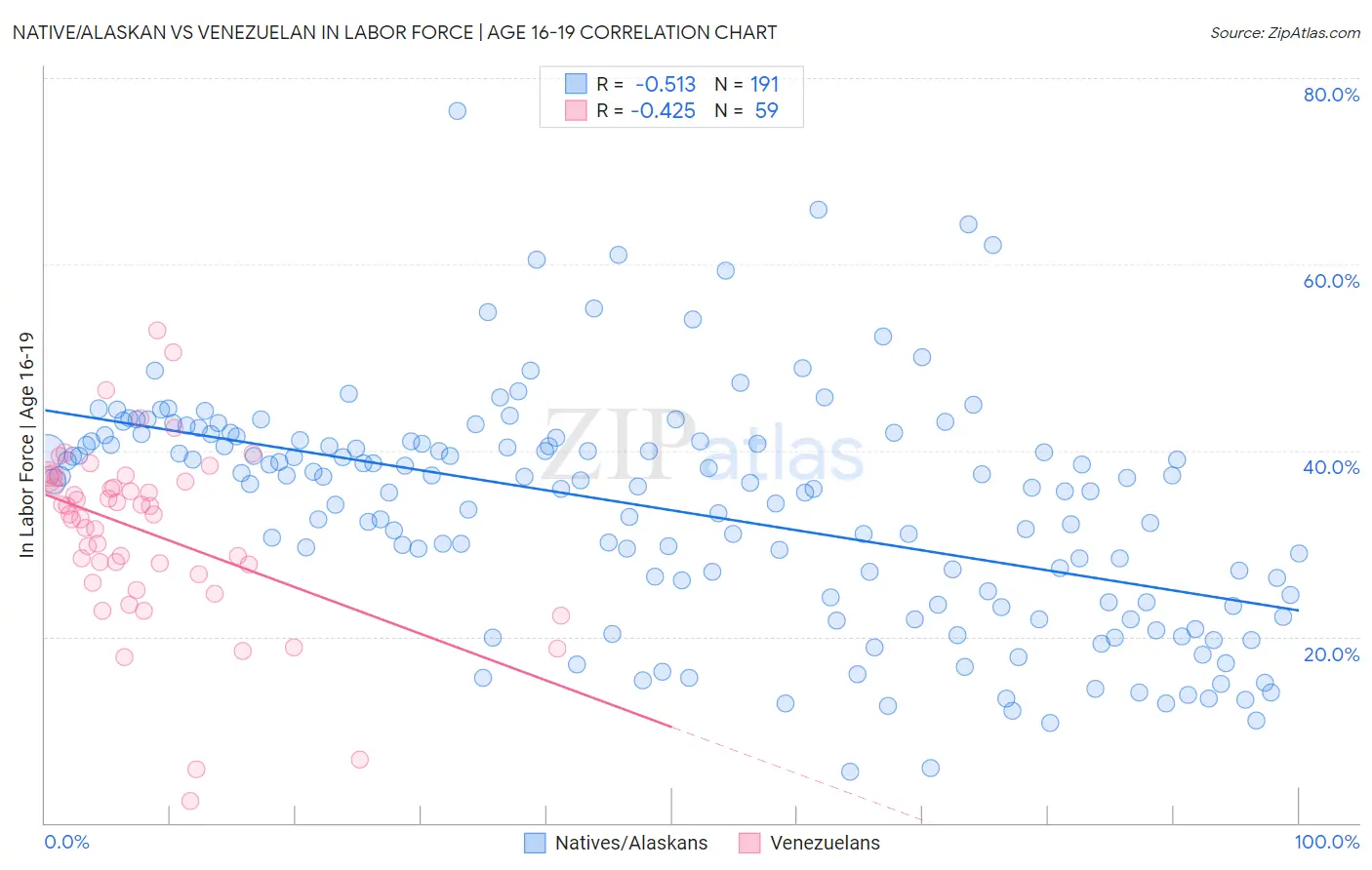 Native/Alaskan vs Venezuelan In Labor Force | Age 16-19