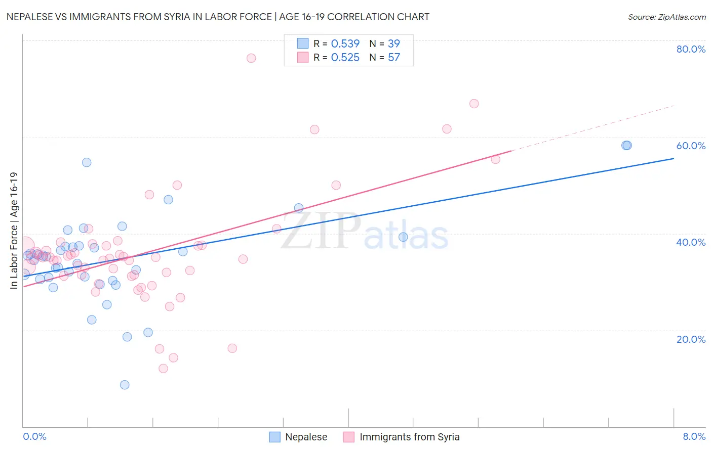 Nepalese vs Immigrants from Syria In Labor Force | Age 16-19