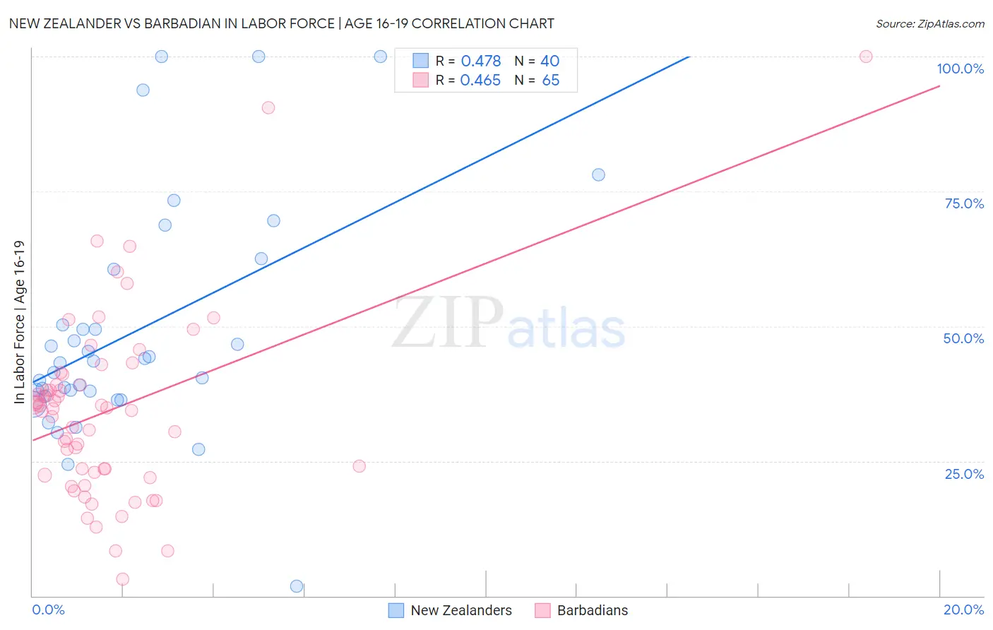 New Zealander vs Barbadian In Labor Force | Age 16-19