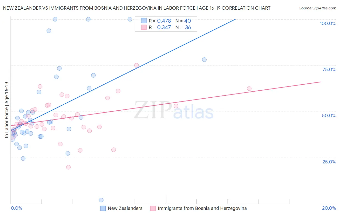 New Zealander vs Immigrants from Bosnia and Herzegovina In Labor Force | Age 16-19