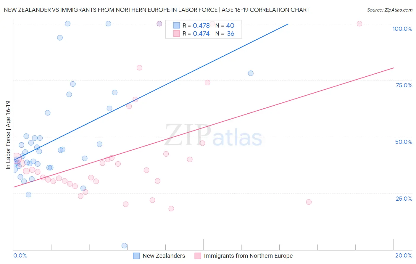 New Zealander vs Immigrants from Northern Europe In Labor Force | Age 16-19