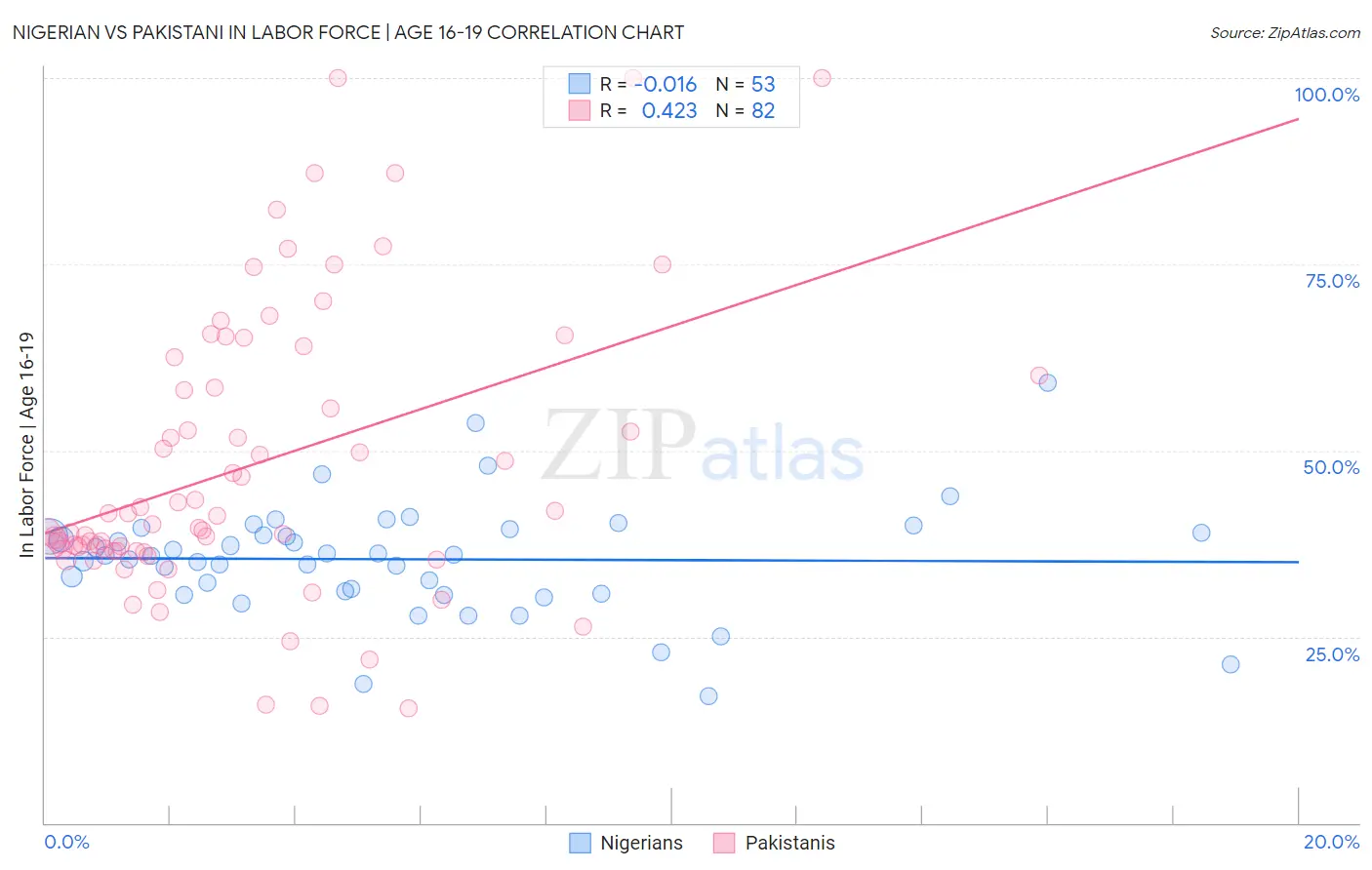 Nigerian vs Pakistani In Labor Force | Age 16-19