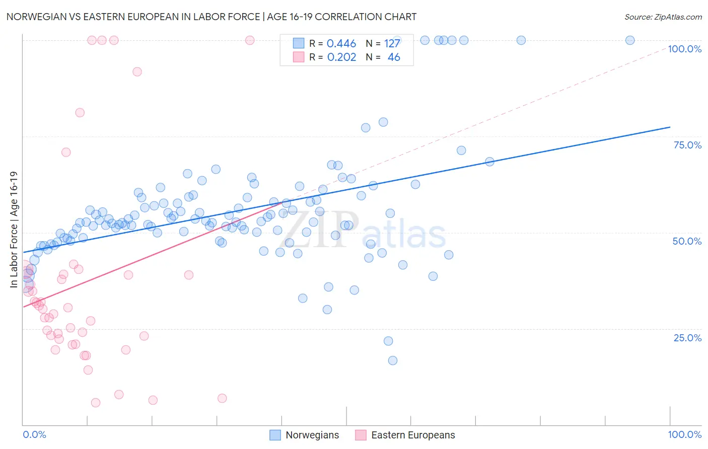 Norwegian vs Eastern European In Labor Force | Age 16-19