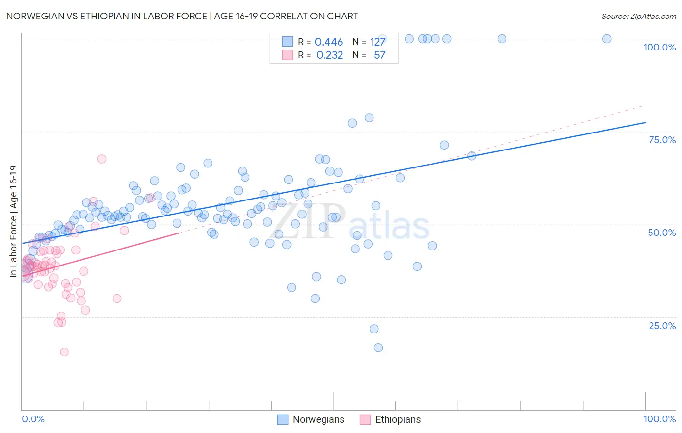 Norwegian vs Ethiopian In Labor Force | Age 16-19