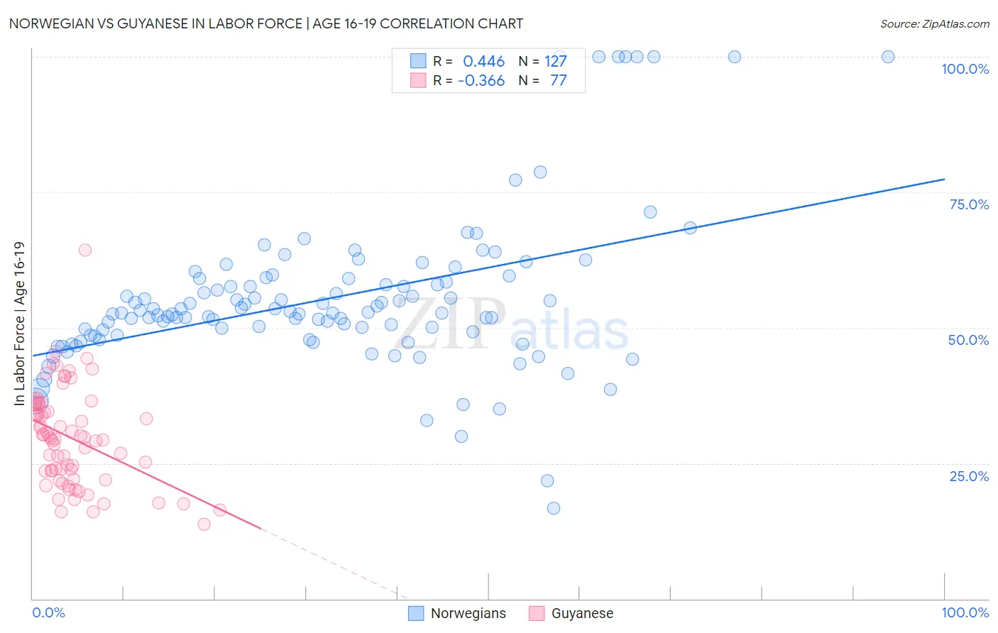 Norwegian vs Guyanese In Labor Force | Age 16-19