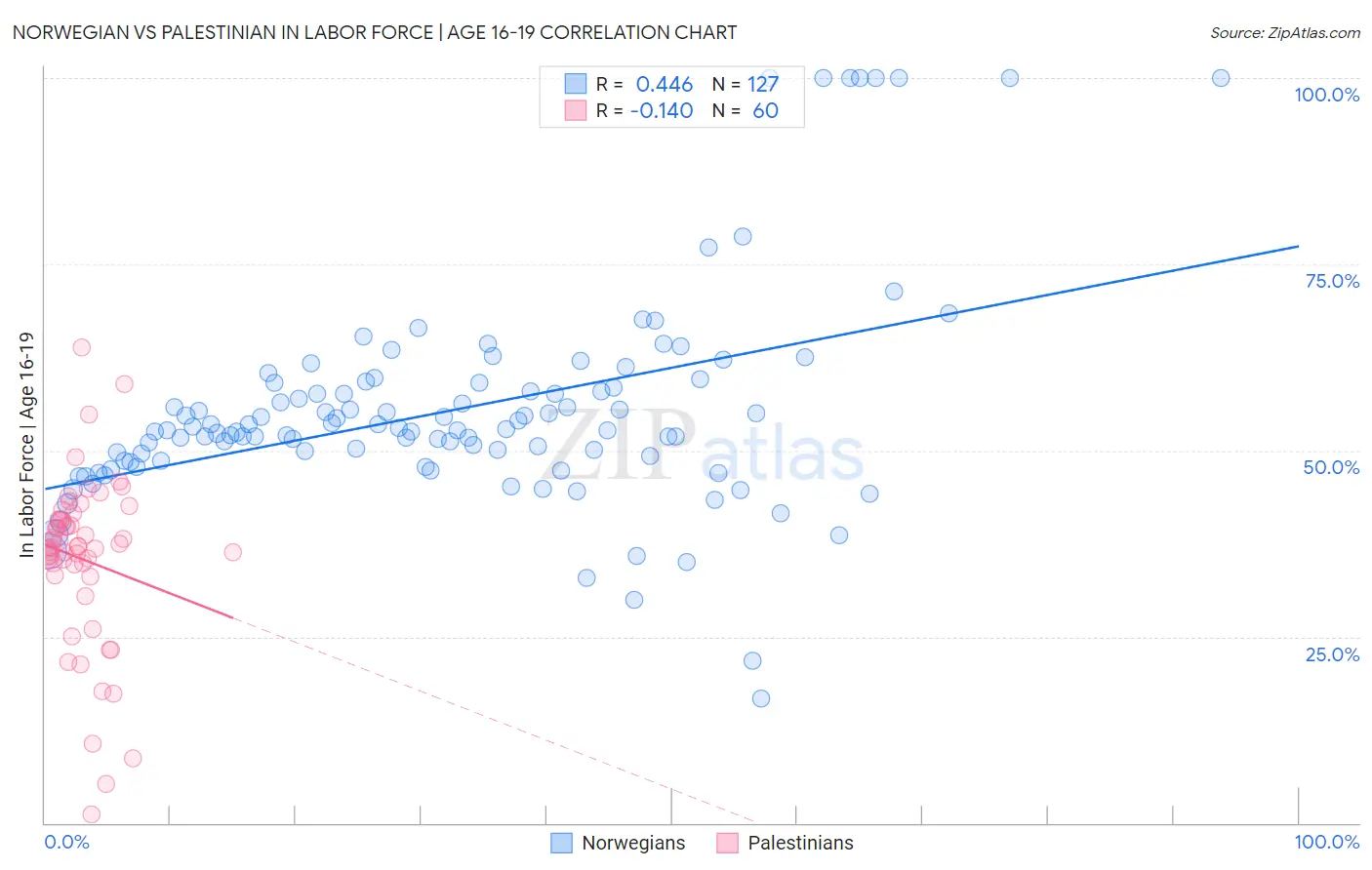 Norwegian vs Palestinian In Labor Force | Age 16-19