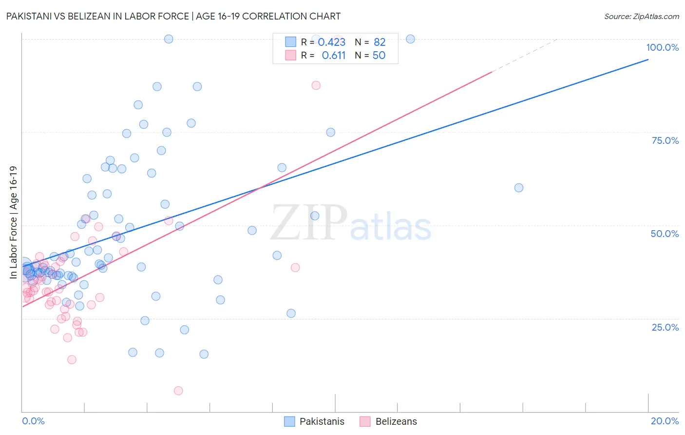 Pakistani vs Belizean In Labor Force | Age 16-19