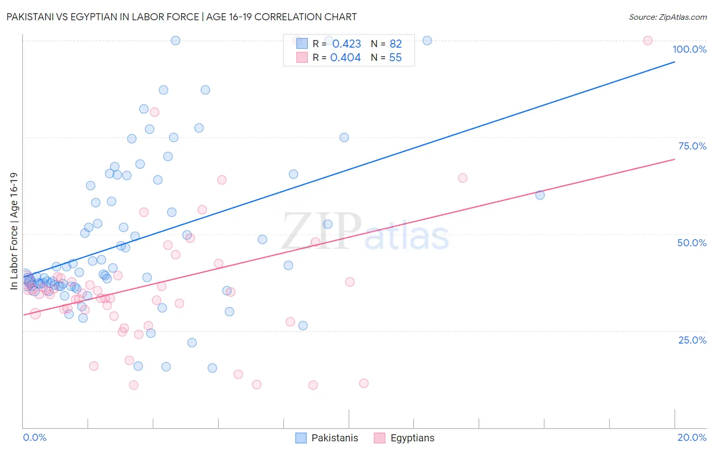 Pakistani vs Egyptian In Labor Force | Age 16-19