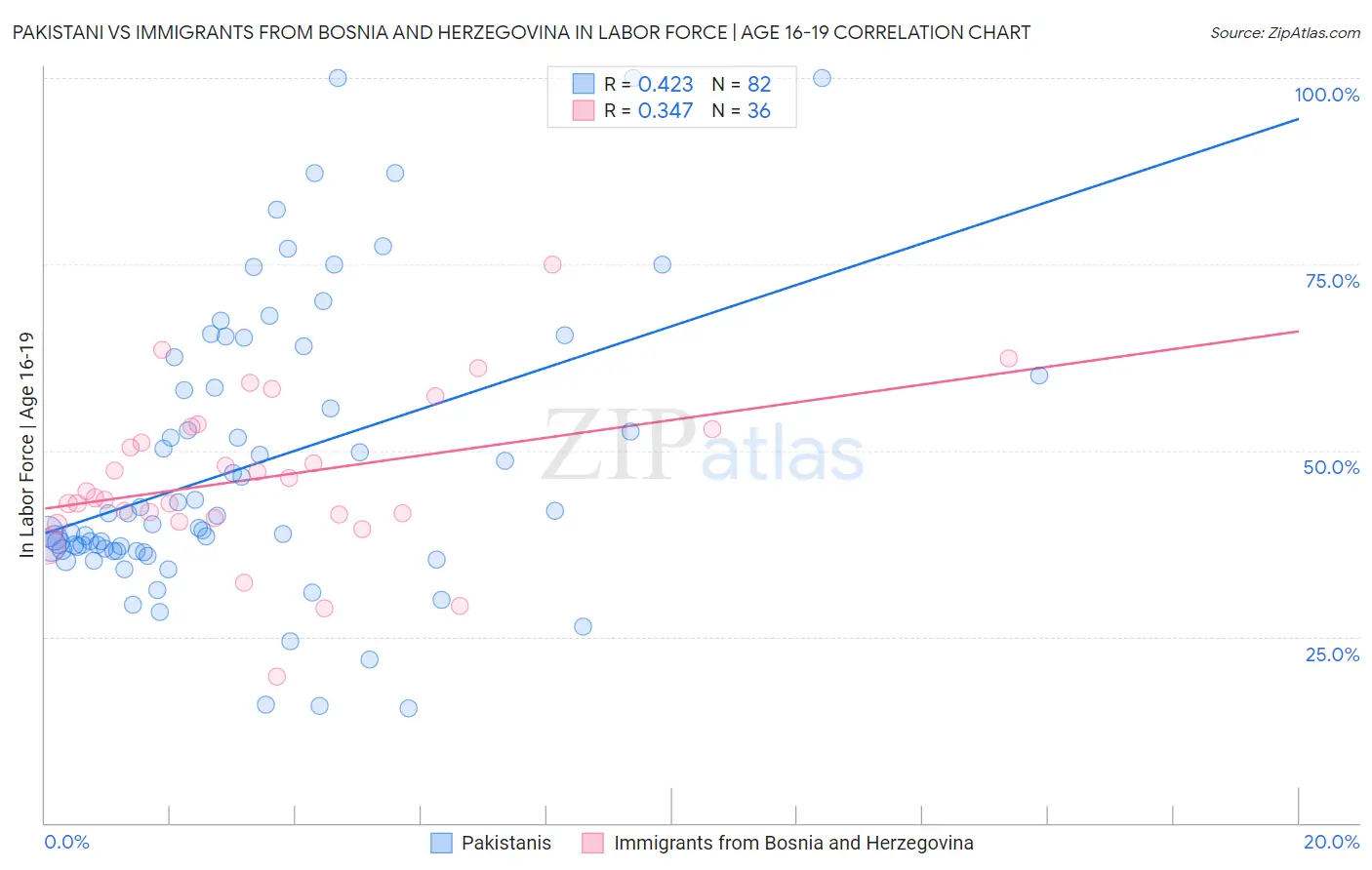 Pakistani vs Immigrants from Bosnia and Herzegovina In Labor Force | Age 16-19